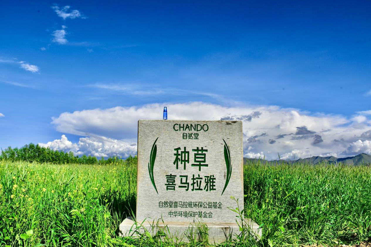 chandogroup-news-chando-himalaya-planting-project-desktop.webp